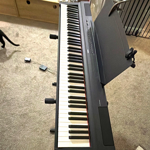 Yamaha 125 key weighted - p-125, 88-key